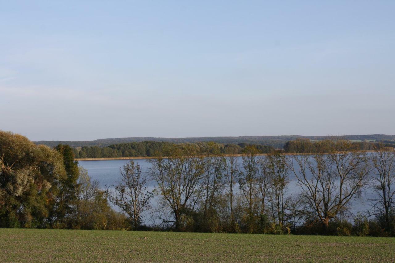 Landpension Zum Schweizerberg Neugrimnitz Esterno foto