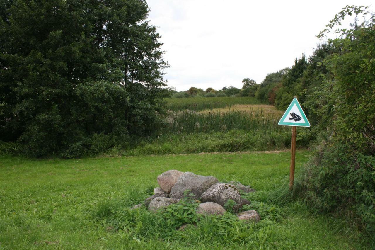 Landpension Zum Schweizerberg Neugrimnitz Esterno foto