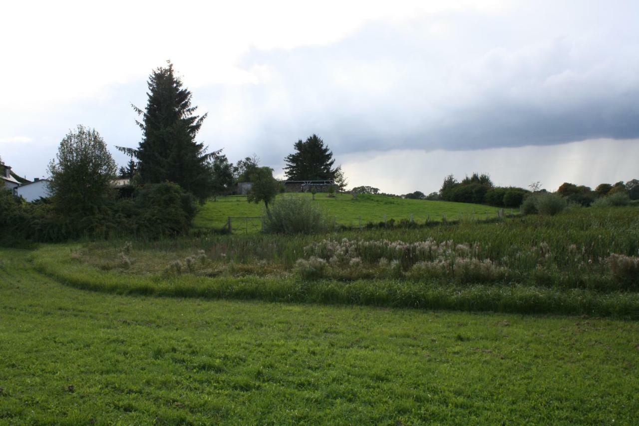 Landpension Zum Schweizerberg Neugrimnitz Esterno foto
