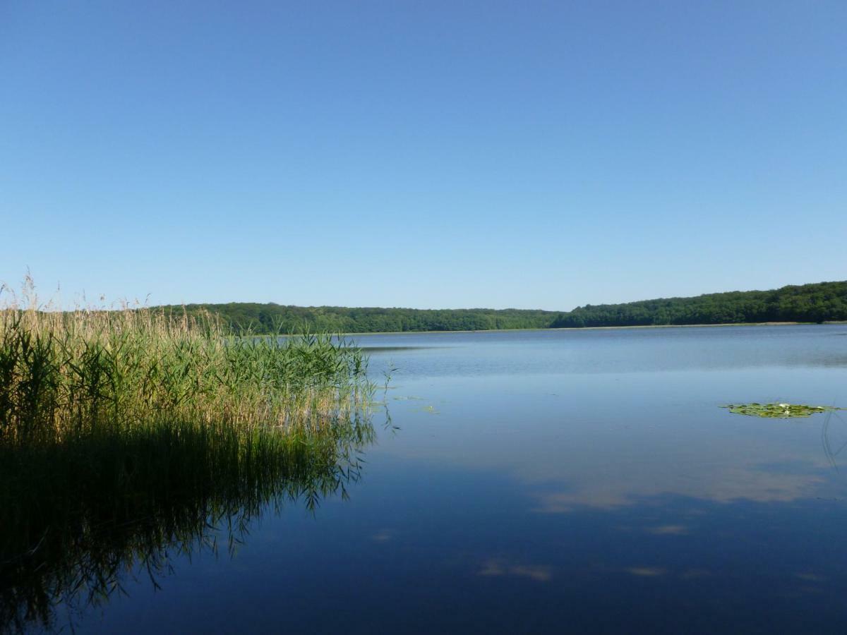 Landpension Zum Schweizerberg Neugrimnitz Esterno foto