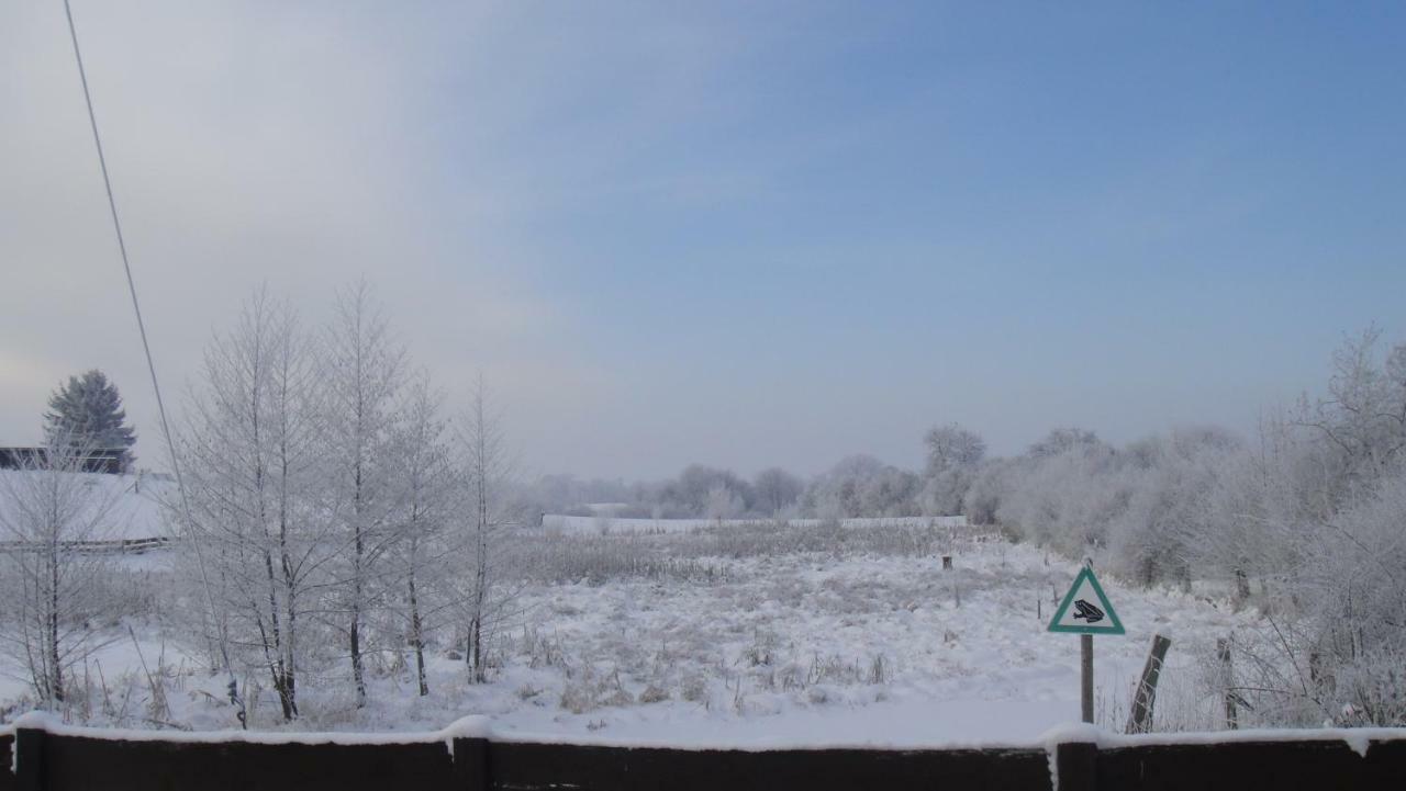 Landpension Zum Schweizerberg Neugrimnitz Esterno foto