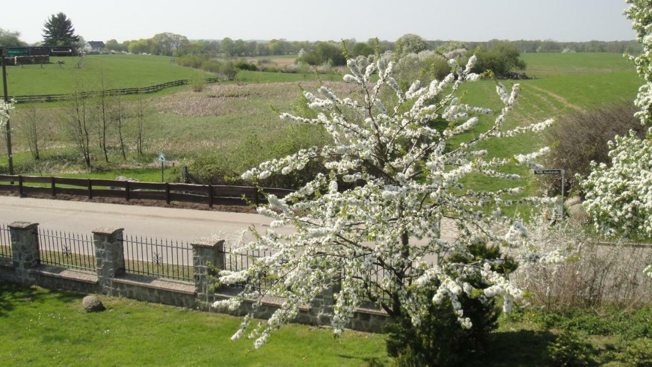 Landpension Zum Schweizerberg Neugrimnitz Esterno foto