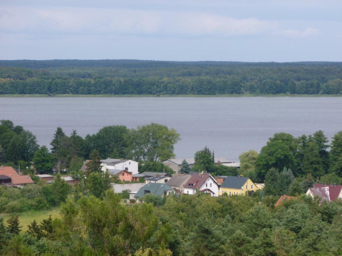Landpension Zum Schweizerberg Neugrimnitz Esterno foto