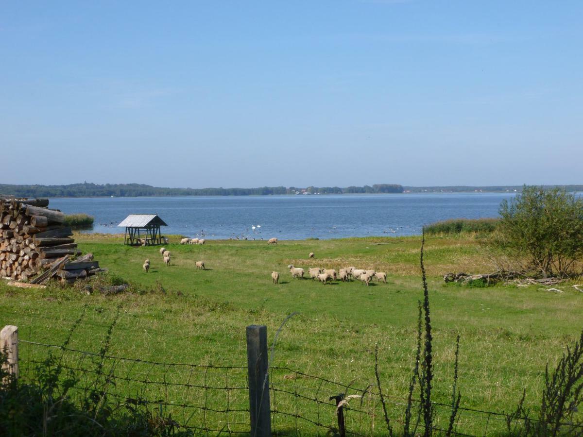 Landpension Zum Schweizerberg Neugrimnitz Esterno foto